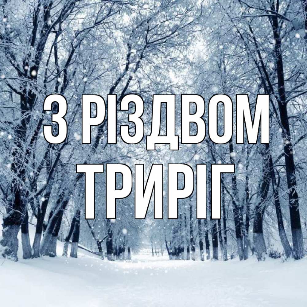Открытка на каждый день з підписом, Триріг З Різдвом снег, лес, парк Прикольна листівка з побажанням онлайн скачати безкоштовно 