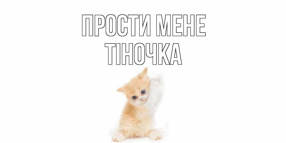 Открытка на каждый день з підписом, Тіночка Прости мене кот Прикольна листівка з побажанням онлайн скачати безкоштовно 