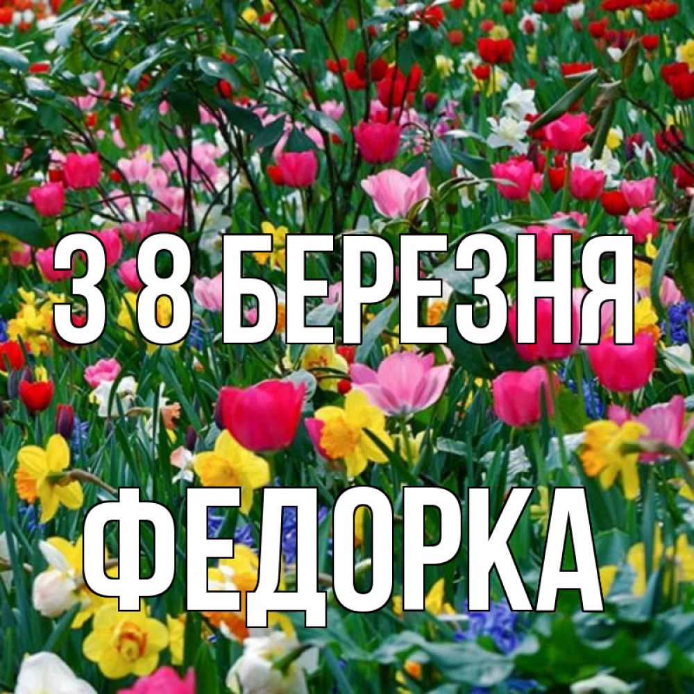 Открытка на каждый день з підписом, Федорка З 8 БЕРЕЗНЯ с международным женским днем поздравления для женщины Прикольна листівка з побажанням онлайн скачати безкоштовно 