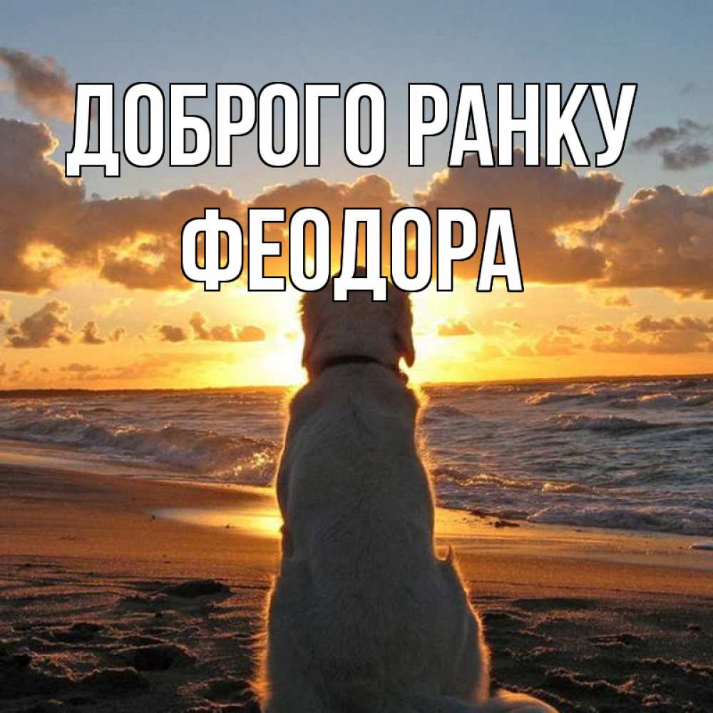 Открытка на каждый день з підписом, Феодора Доброго ранку восход солнца Прикольна листівка з побажанням онлайн скачати безкоштовно 