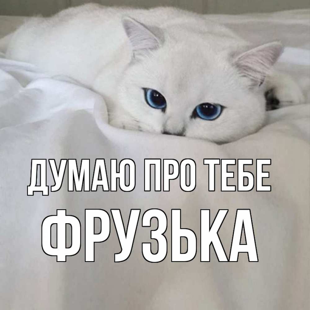 Открытка на каждый день з підписом, Фрузька Думаю про тебе я очень по тебе скучаю и тоскую Прикольна листівка з побажанням онлайн скачати безкоштовно 