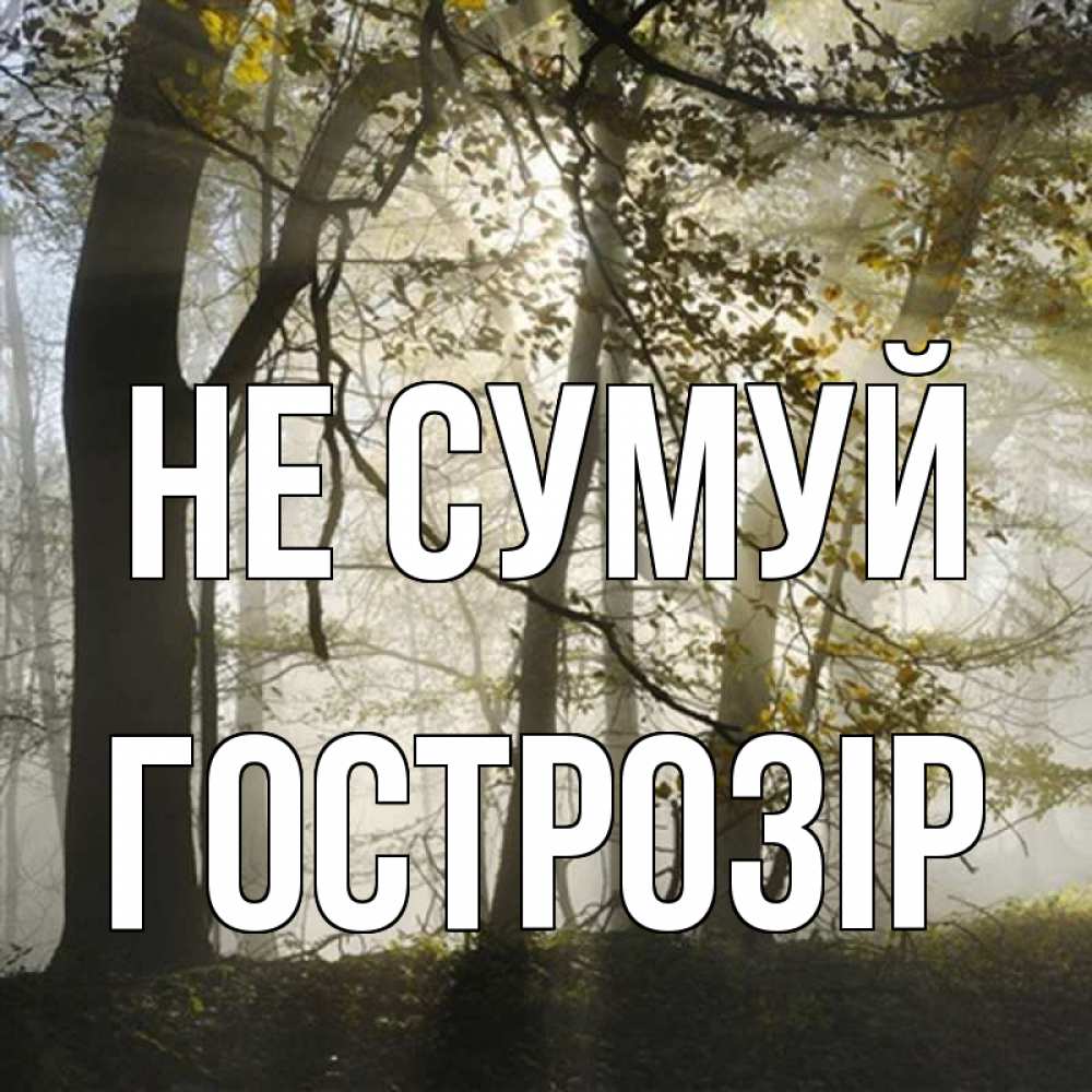 Открытка на каждый день з підписом, Гострозір Не сумуй лес и свет Прикольна листівка з побажанням онлайн скачати безкоштовно 