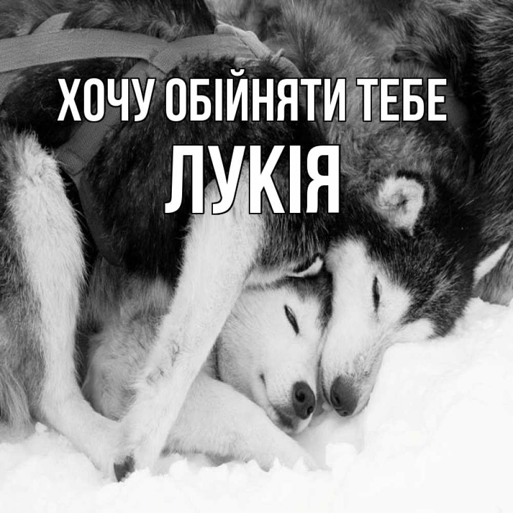 Открытка на каждый день з підписом, Лукія Хочу обійняти тебе собачки в упряжке Прикольна листівка з побажанням онлайн скачати безкоштовно 