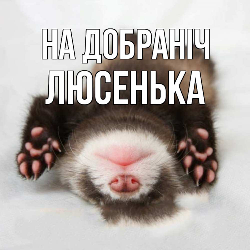 Открытка на каждый день з підписом, Люсенька На добраніч зверек Прикольна листівка з побажанням онлайн скачати безкоштовно 