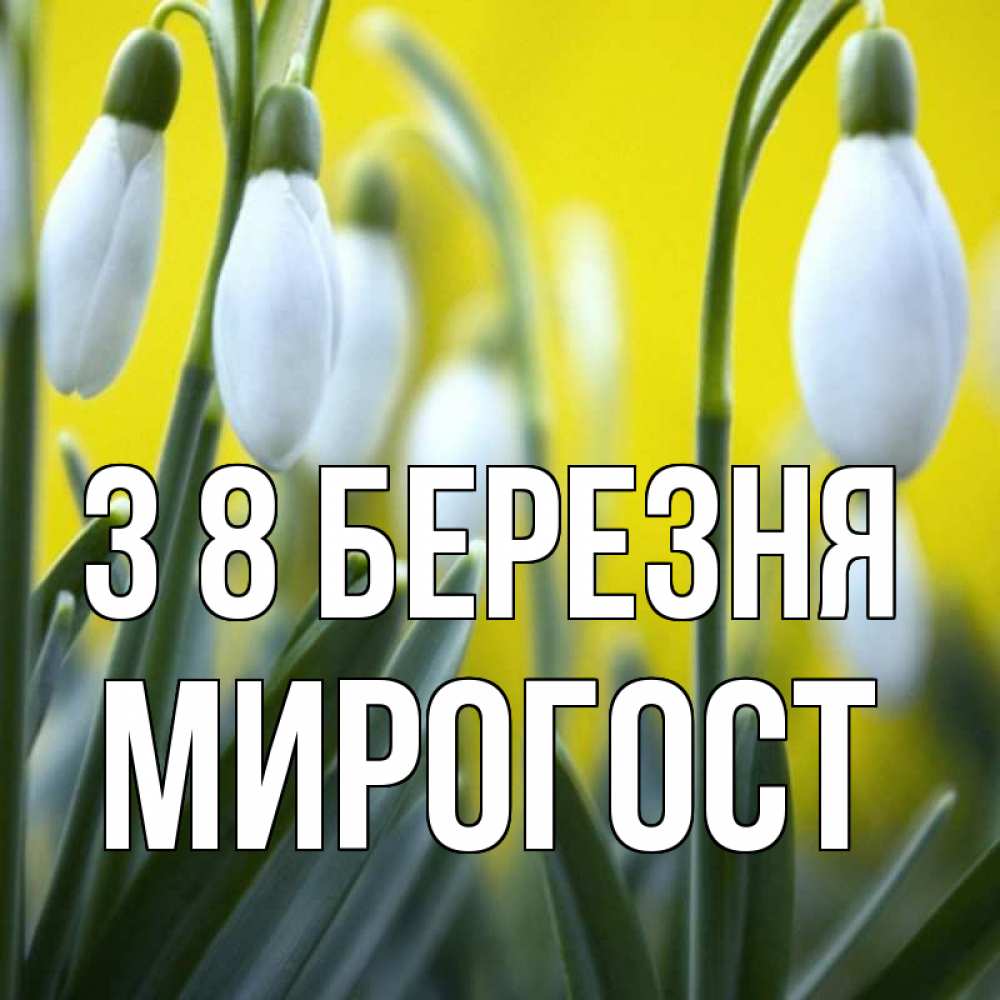 Открытка на каждый день з підписом, Мирогост З 8 БЕРЕЗНЯ весенние цветы Прикольна листівка з побажанням онлайн скачати безкоштовно 