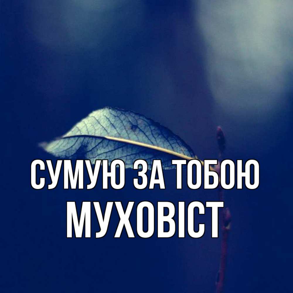 Открытка на каждый день з підписом, Муховіст Сумую за тобою одна ветка 1 Прикольна листівка з побажанням онлайн скачати безкоштовно 