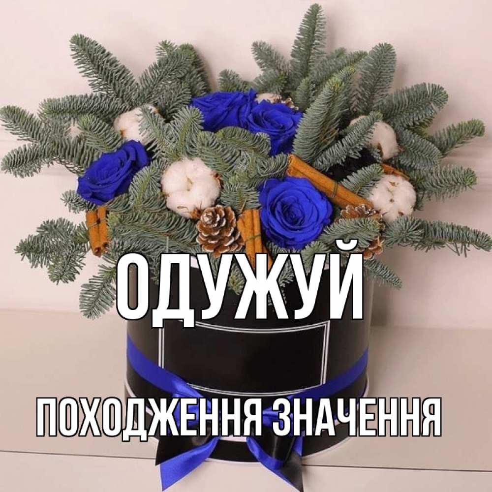 Открытка на каждый день з підписом, Походження,-значення Одужуй короче кто то загрузил эти шишки Прикольна листівка з побажанням онлайн скачати безкоштовно 