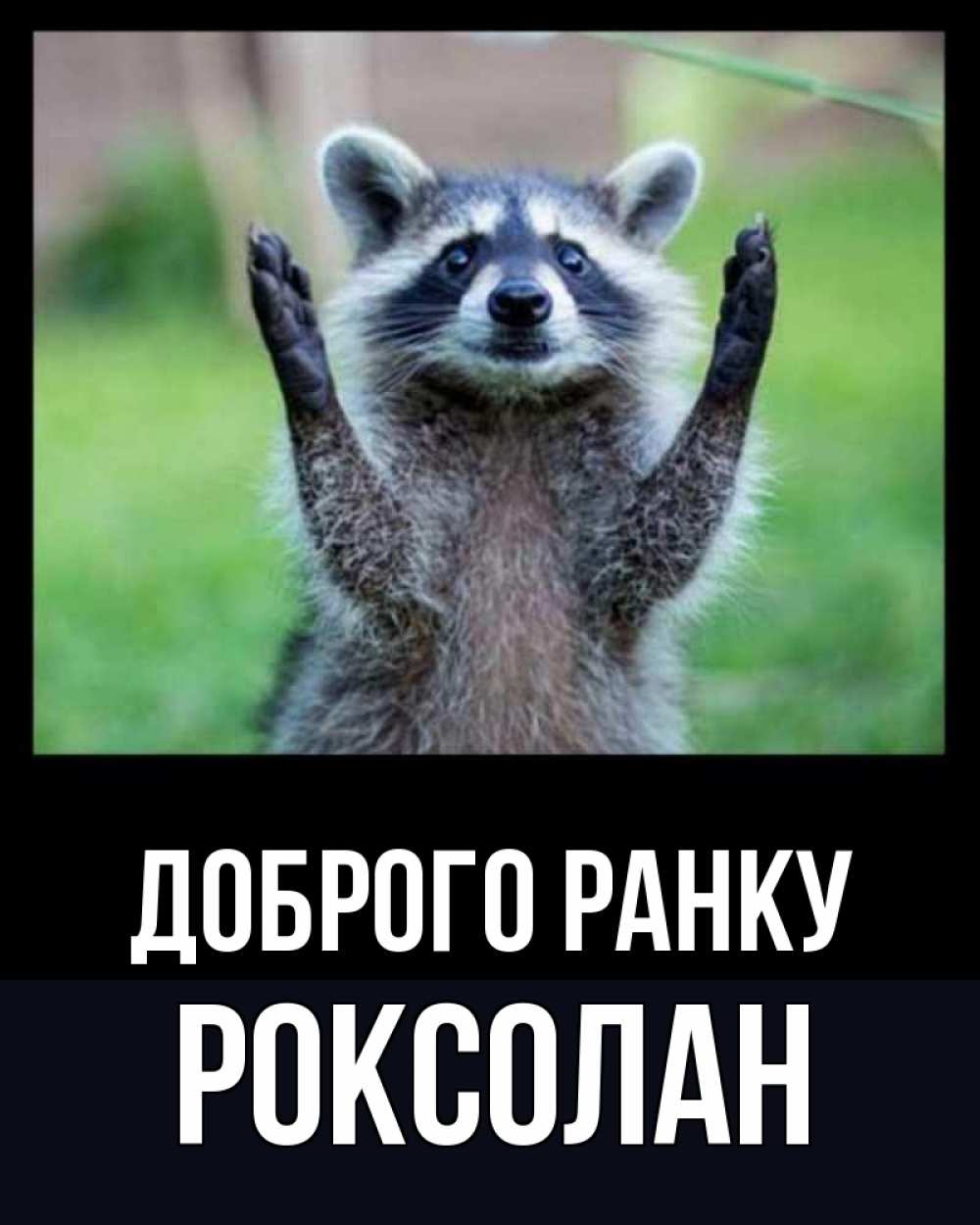 Открытка на каждый день з підписом, Роксолан Доброго ранку хорошее настроение утречком Прикольна листівка з побажанням онлайн скачати безкоштовно 