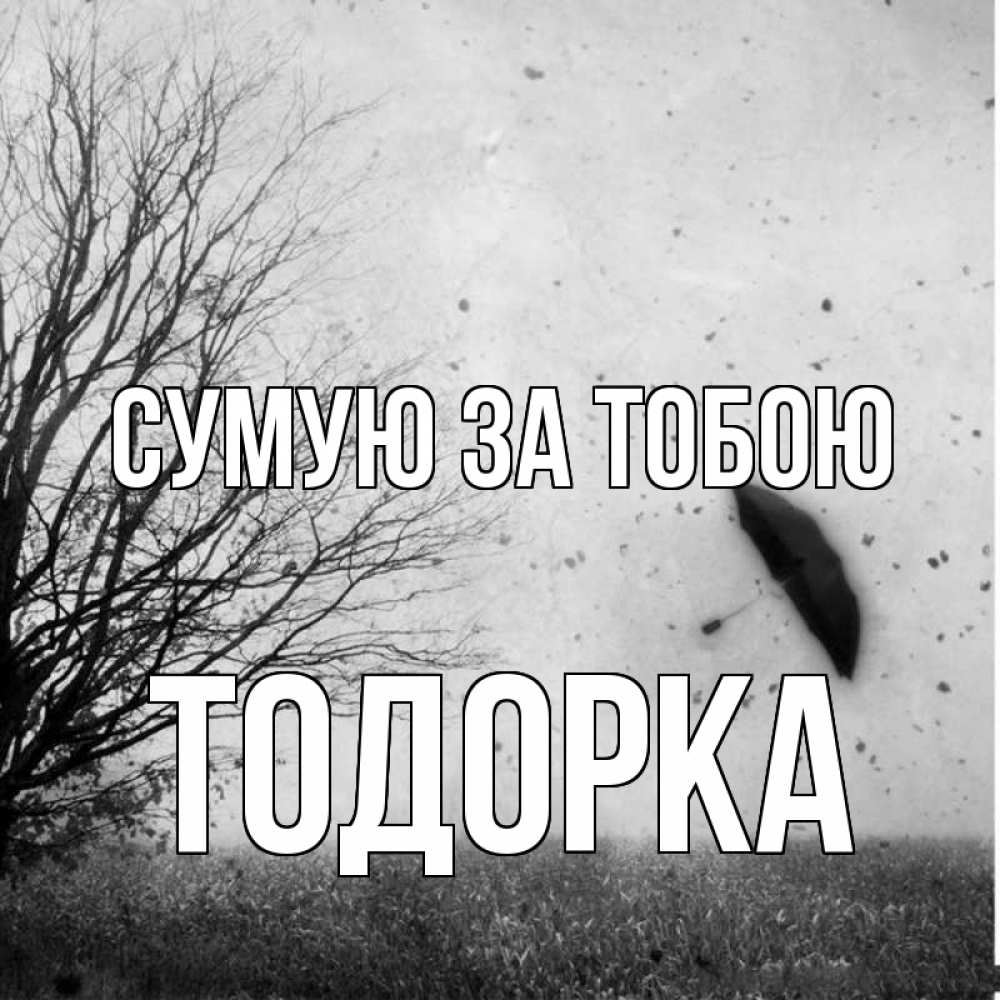 Открытка на каждый день з підписом, Тодорка Сумую за тобою зонт летит Прикольна листівка з побажанням онлайн скачати безкоштовно 