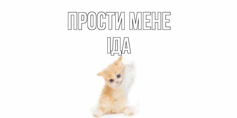 Открытка на каждый день з підписом, Іда Прости мене кот Прикольна листівка з побажанням онлайн скачати безкоштовно 