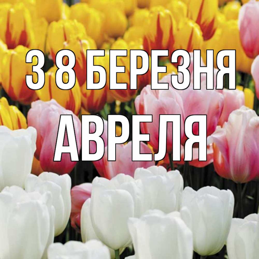 Открытка на каждый день з підписом, Авреля З 8 БЕРЕЗНЯ разноцветные цветы Прикольна листівка з побажанням онлайн скачати безкоштовно 