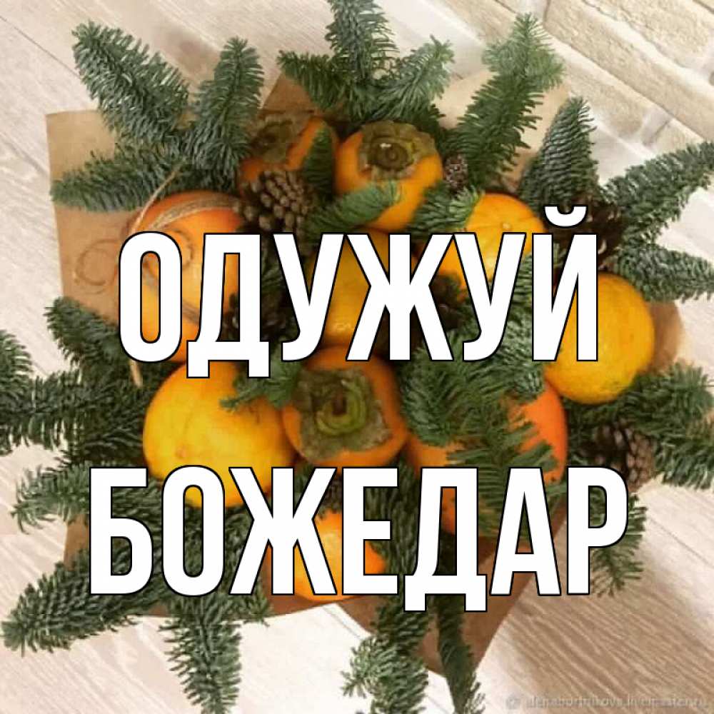Открытка на каждый день з підписом, Божедар Одужуй апельсины и хурьма Прикольна листівка з побажанням онлайн скачати безкоштовно 