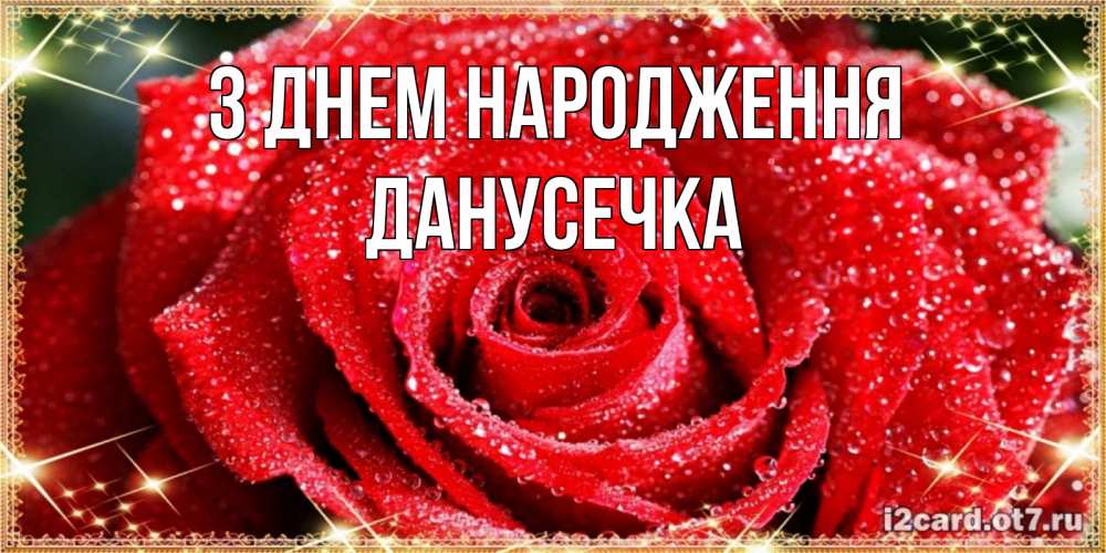 Открытка на каждый день з підписом, Данусечка З Днем народження роса и роза. открытка с красивой розой Прикольна листівка з побажанням онлайн скачати безкоштовно 