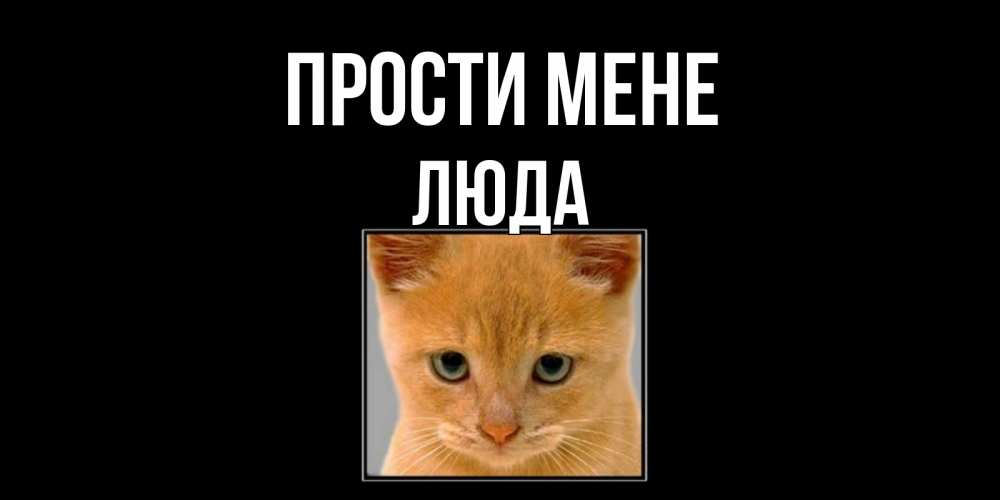 Открытка на каждый день з підписом, Люда Прости мене рыжий грустный кот просит прощения Прикольна листівка з побажанням онлайн скачати безкоштовно 
