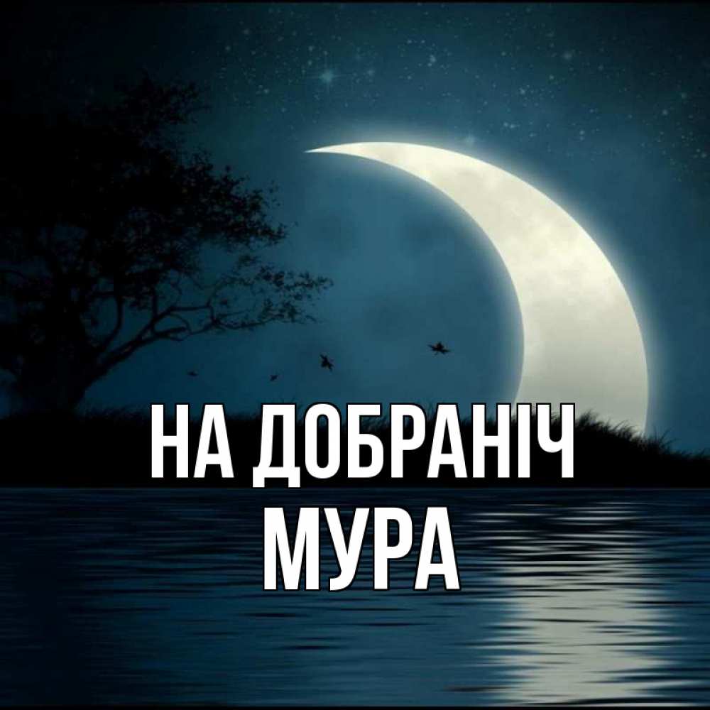 Открытка на каждый день з підписом, Мура На добраніч вода Прикольна листівка з побажанням онлайн скачати безкоштовно 