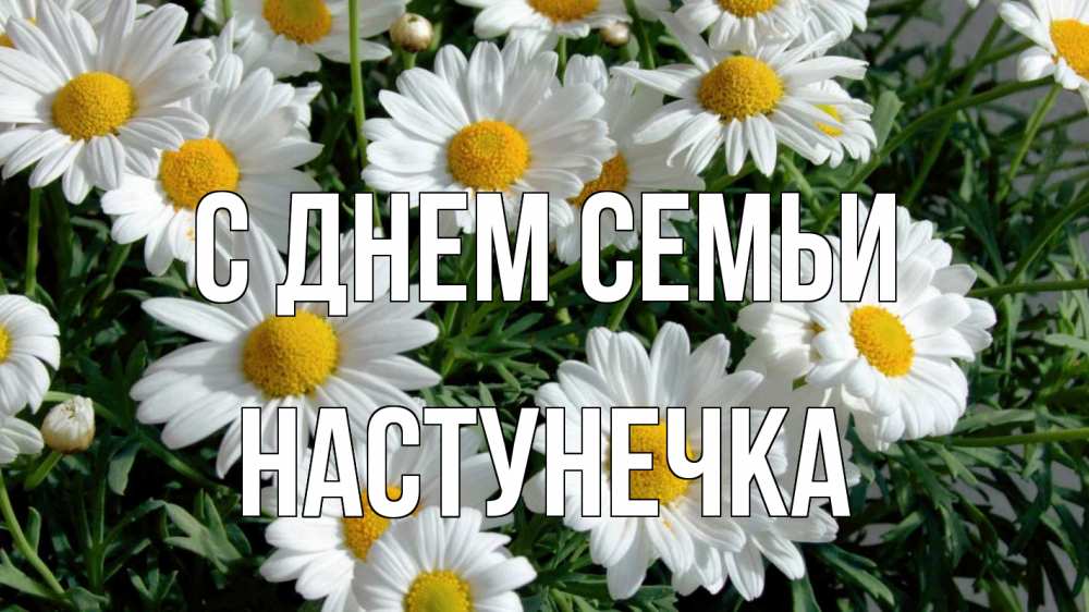Открытка на каждый день з підписом, Настунечка С днем семьи с днем семьи Прикольна листівка з побажанням онлайн скачати безкоштовно 