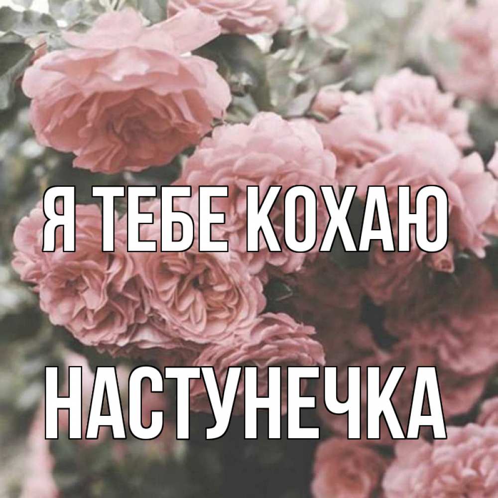 Открытка на каждый день з підписом, Настунечка Я тебе кохаю розы 3 Прикольна листівка з побажанням онлайн скачати безкоштовно 