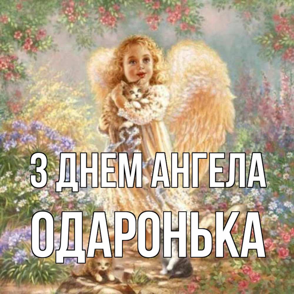 Открытка на каждый день з підписом, Одаронька З Днем ангела держит котенка Прикольна листівка з побажанням онлайн скачати безкоштовно 
