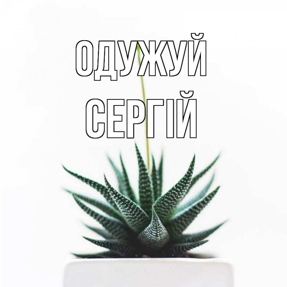 Открытка на каждый день з підписом, Сергій Одужуй короче это непонятная колючка Прикольна листівка з побажанням онлайн скачати безкоштовно 