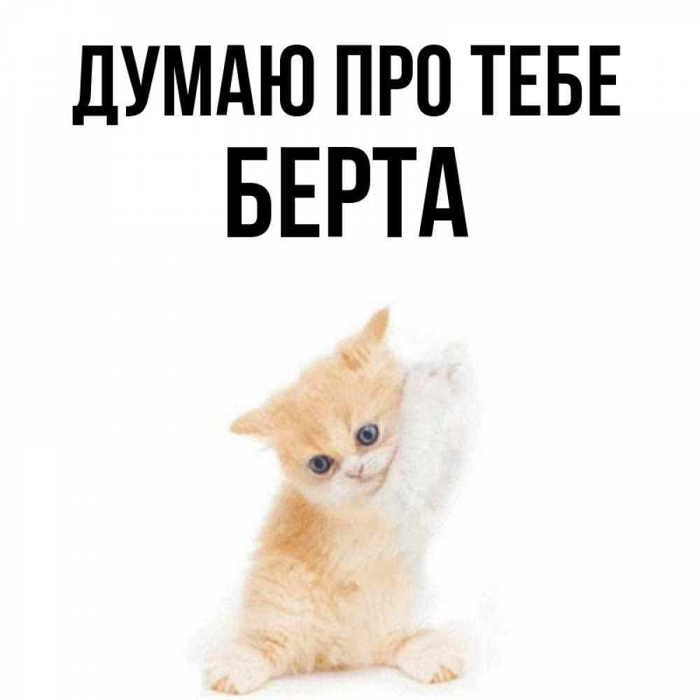Открытка на каждый день з підписом, Берта Думаю про тебе зверушки и милота Прикольна листівка з побажанням онлайн скачати безкоштовно 