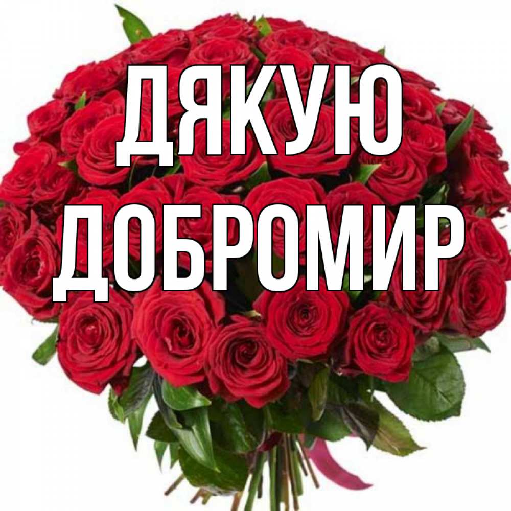 Открытка на каждый день з підписом, Добромир Дякую букет красных роз Прикольна листівка з побажанням онлайн скачати безкоштовно 