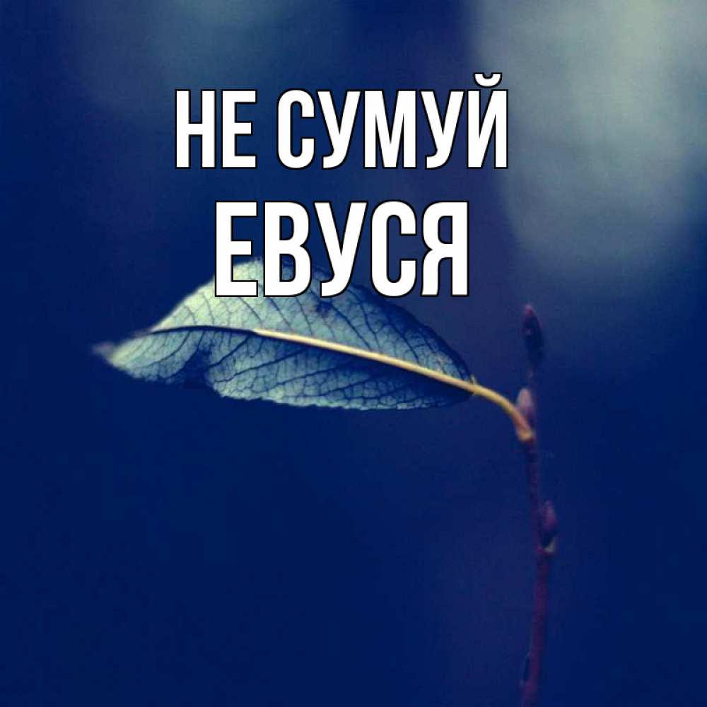 Открытка на каждый день з підписом, Евуся Не сумуй растение Прикольна листівка з побажанням онлайн скачати безкоштовно 