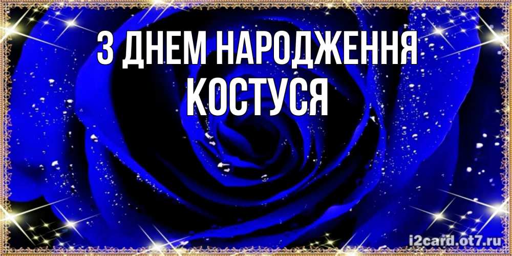 Открытка на каждый день з підписом, Костуся З Днем народження голубые цветы в росе Прикольна листівка з побажанням онлайн скачати безкоштовно 