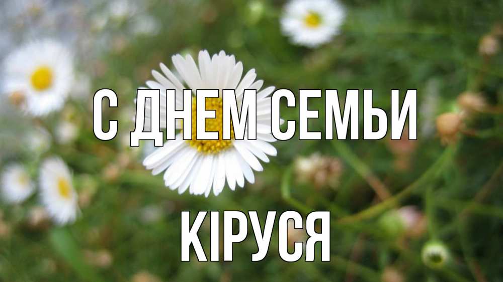 Открытка на каждый день з підписом, Кіруся С днем семьи с днем семьи Прикольна листівка з побажанням онлайн скачати безкоштовно 