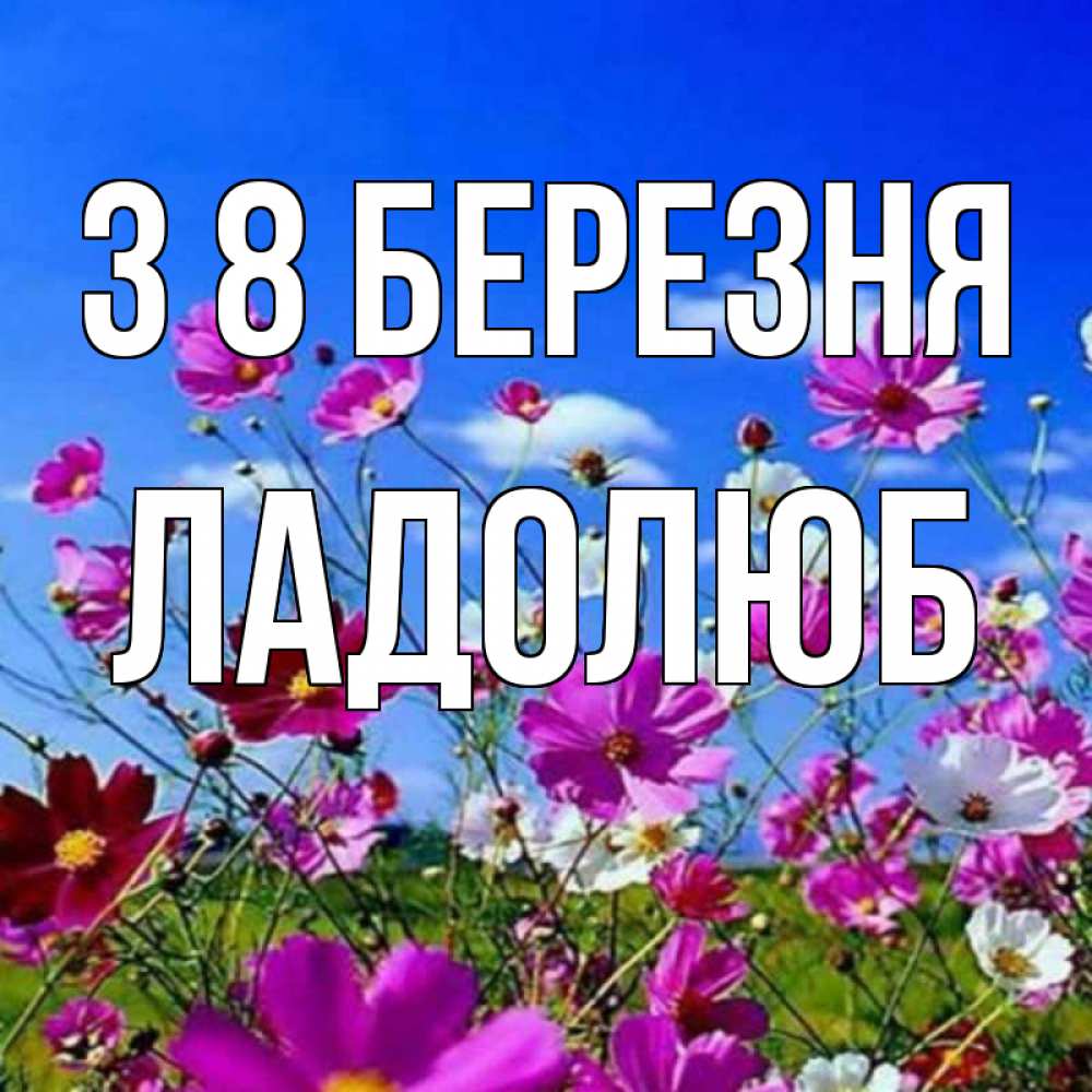 Открытка на каждый день з підписом, Ладолюб З 8 БЕРЕЗНЯ цветы Прикольна листівка з побажанням онлайн скачати безкоштовно 