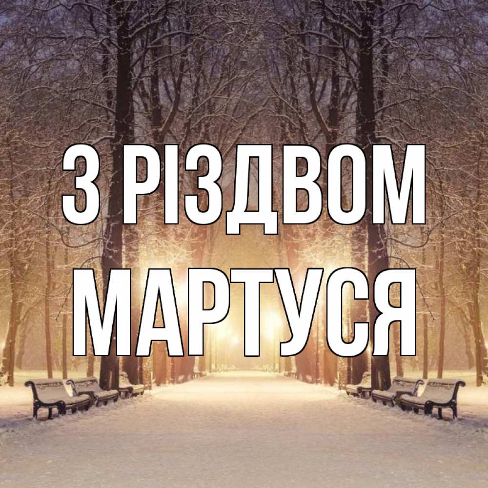 Открытка на каждый день з підписом, Мартуся З Різдвом зима, парк, фонарь, лес Прикольна листівка з побажанням онлайн скачати безкоштовно 