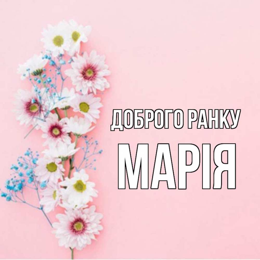 Открытка на каждый день з підписом, Марія Доброго ранку цветы с подписью Прикольна листівка з побажанням онлайн скачати безкоштовно 