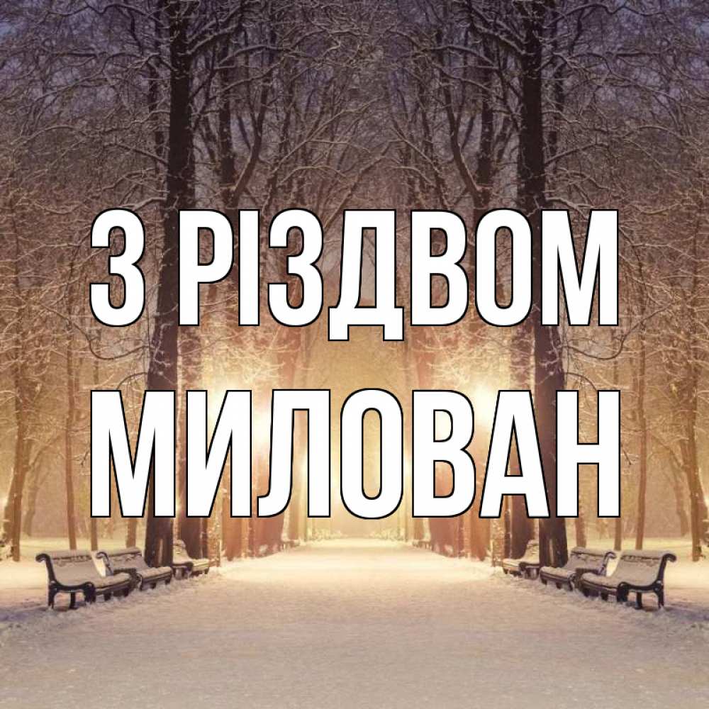 Открытка на каждый день з підписом, Милован З Різдвом зима, парк, фонарь, лес Прикольна листівка з побажанням онлайн скачати безкоштовно 