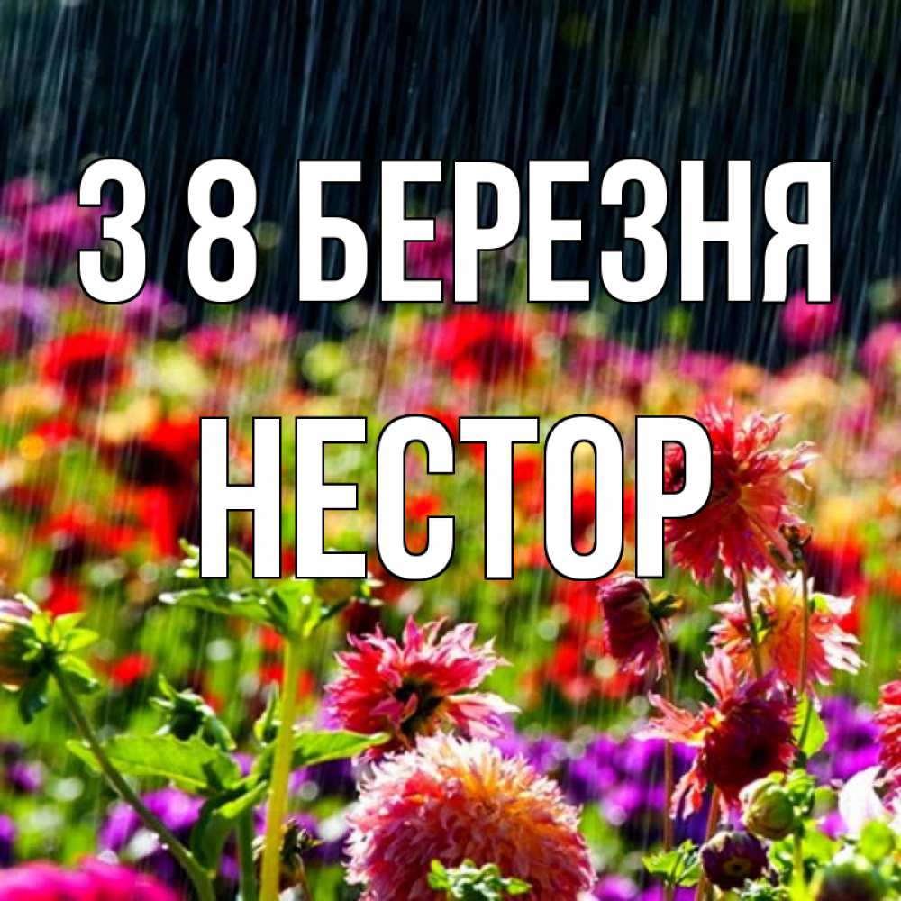 Открытка на каждый день з підписом, Нестор З 8 БЕРЕЗНЯ цветы под дождиком к международному женскому дню Прикольна листівка з побажанням онлайн скачати безкоштовно 