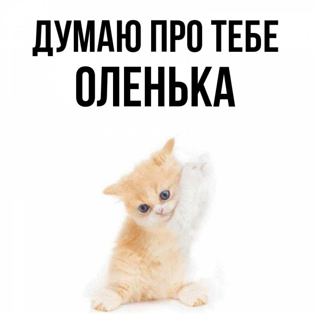 Открытка на каждый день з підписом, Оленька Думаю про тебе зверушки и милота Прикольна листівка з побажанням онлайн скачати безкоштовно 