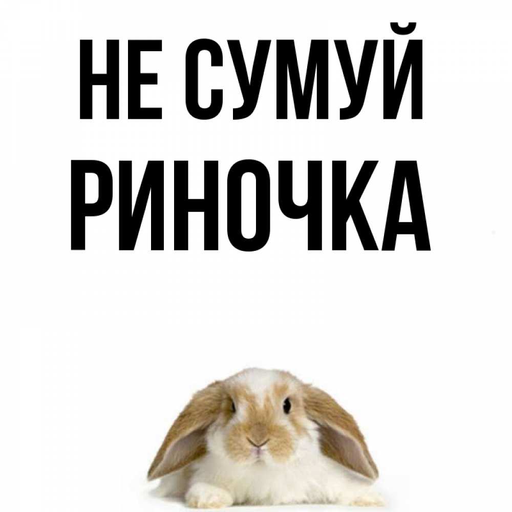 Открытка на каждый день з підписом, Риночка Не сумуй коричнево белый заяц с большими ушками Прикольна листівка з побажанням онлайн скачати безкоштовно 