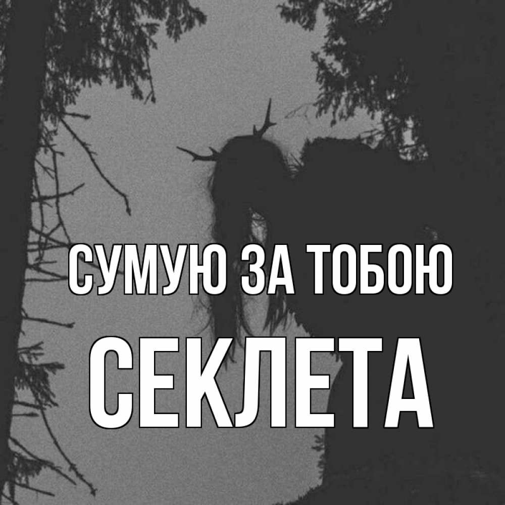 Открытка на каждый день з підписом, Секлета Сумую за тобою пугаю Прикольна листівка з побажанням онлайн скачати безкоштовно 