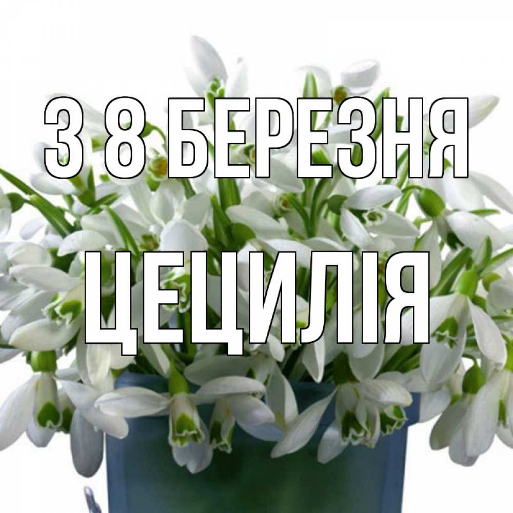 Открытка на каждый день з підписом, Цецилія З 8 БЕРЕЗНЯ цветы к международному женскому дню Прикольна листівка з побажанням онлайн скачати безкоштовно 