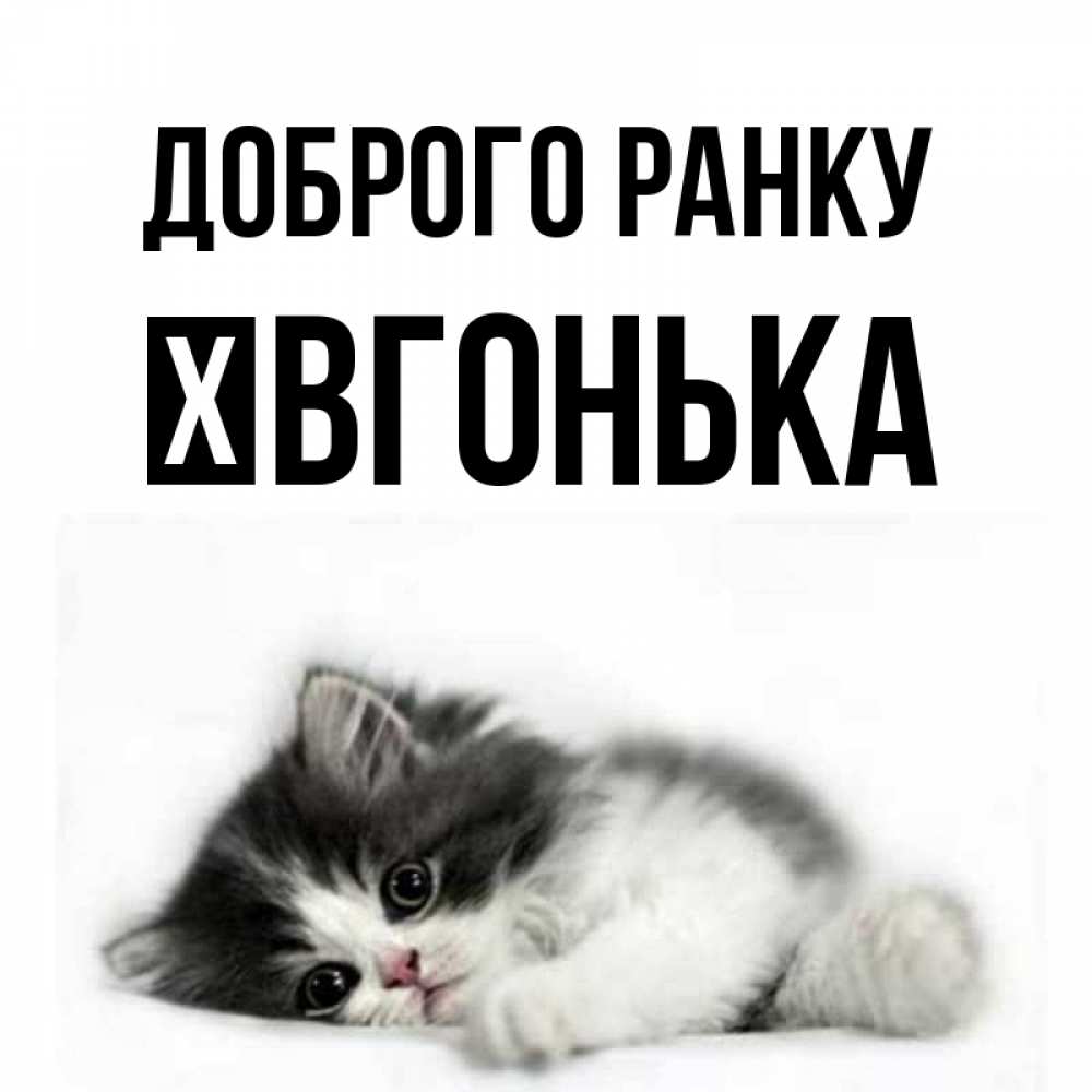 Открытка на каждый день з підписом, Ївгонька Доброго ранку кот лапки Прикольна листівка з побажанням онлайн скачати безкоштовно 