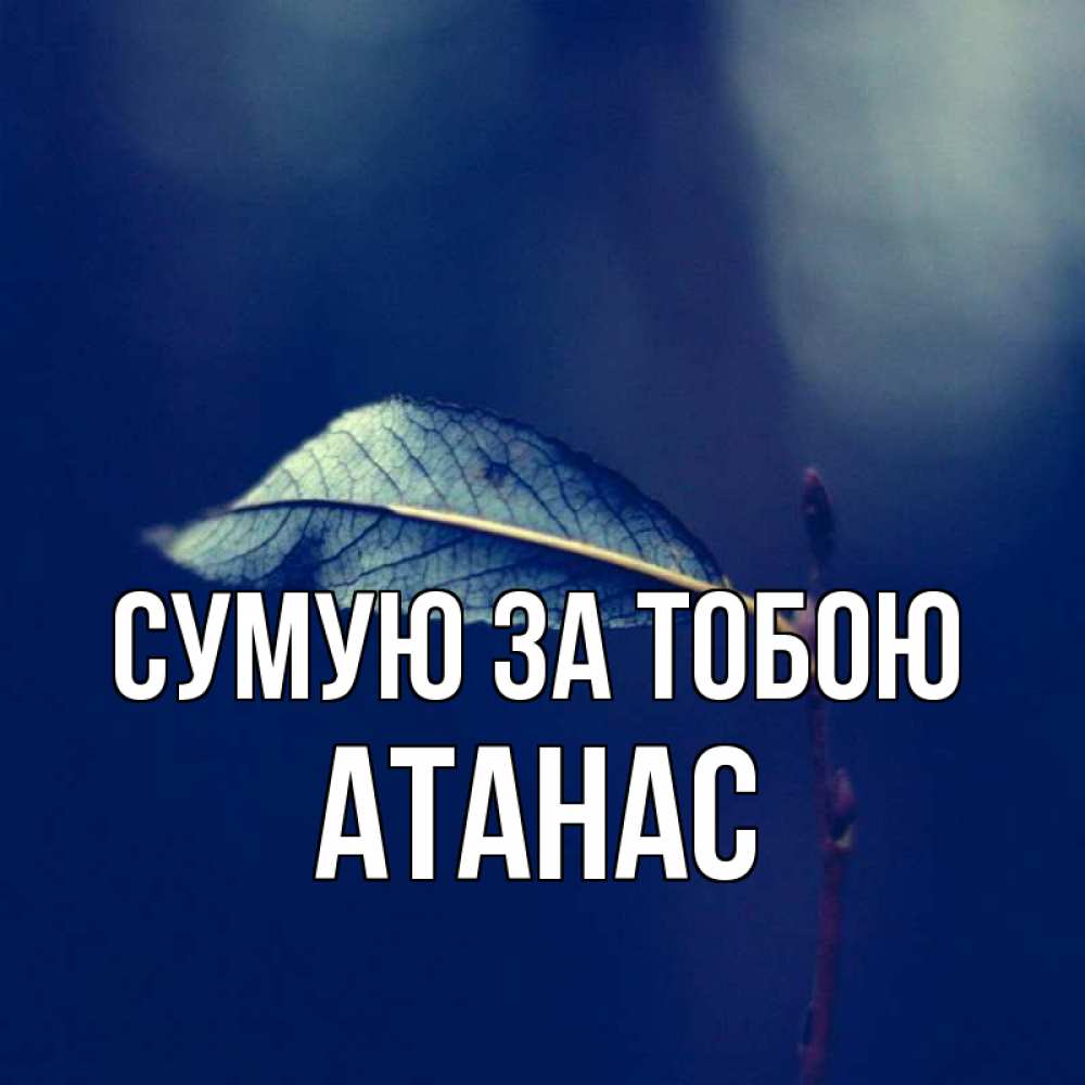 Открытка на каждый день з підписом, Атанас Сумую за тобою одна ветка 1 Прикольна листівка з побажанням онлайн скачати безкоштовно 