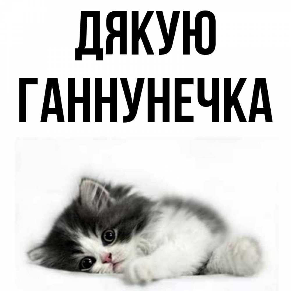 Открытка на каждый день з підписом, Ганнунечка Дякую черный и белый кот Прикольна листівка з побажанням онлайн скачати безкоштовно 
