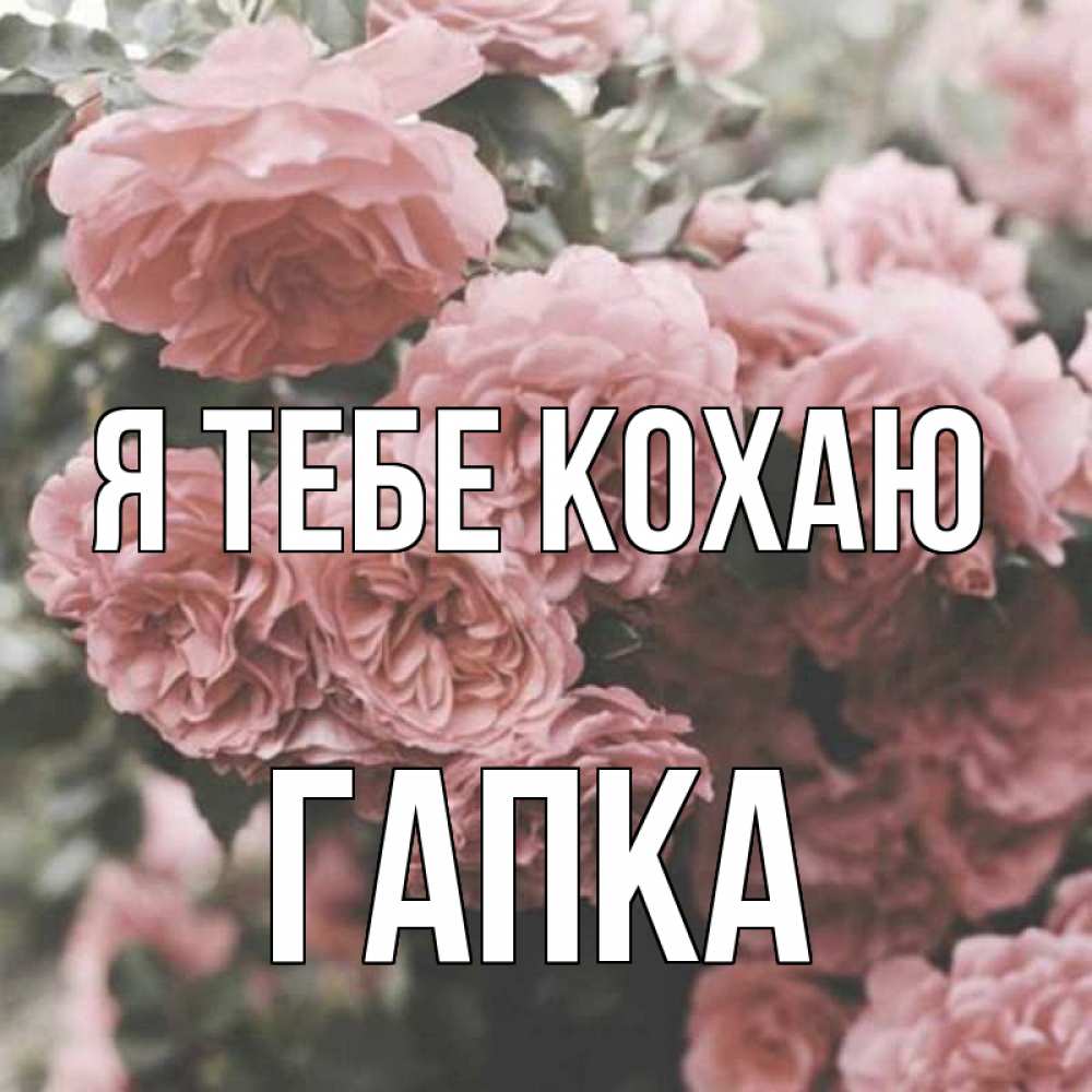 Открытка на каждый день з підписом, Гапка Я тебе кохаю розы 3 Прикольна листівка з побажанням онлайн скачати безкоштовно 