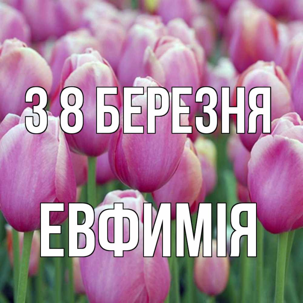 Открытка на каждый день з підписом, Евфимiя З 8 БЕРЕЗНЯ на международный женский день 3 Прикольна листівка з побажанням онлайн скачати безкоштовно 