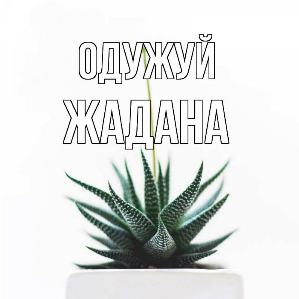 Открытка на каждый день з підписом, Жадана Одужуй короче это непонятная колючка Прикольна листівка з побажанням онлайн скачати безкоштовно 