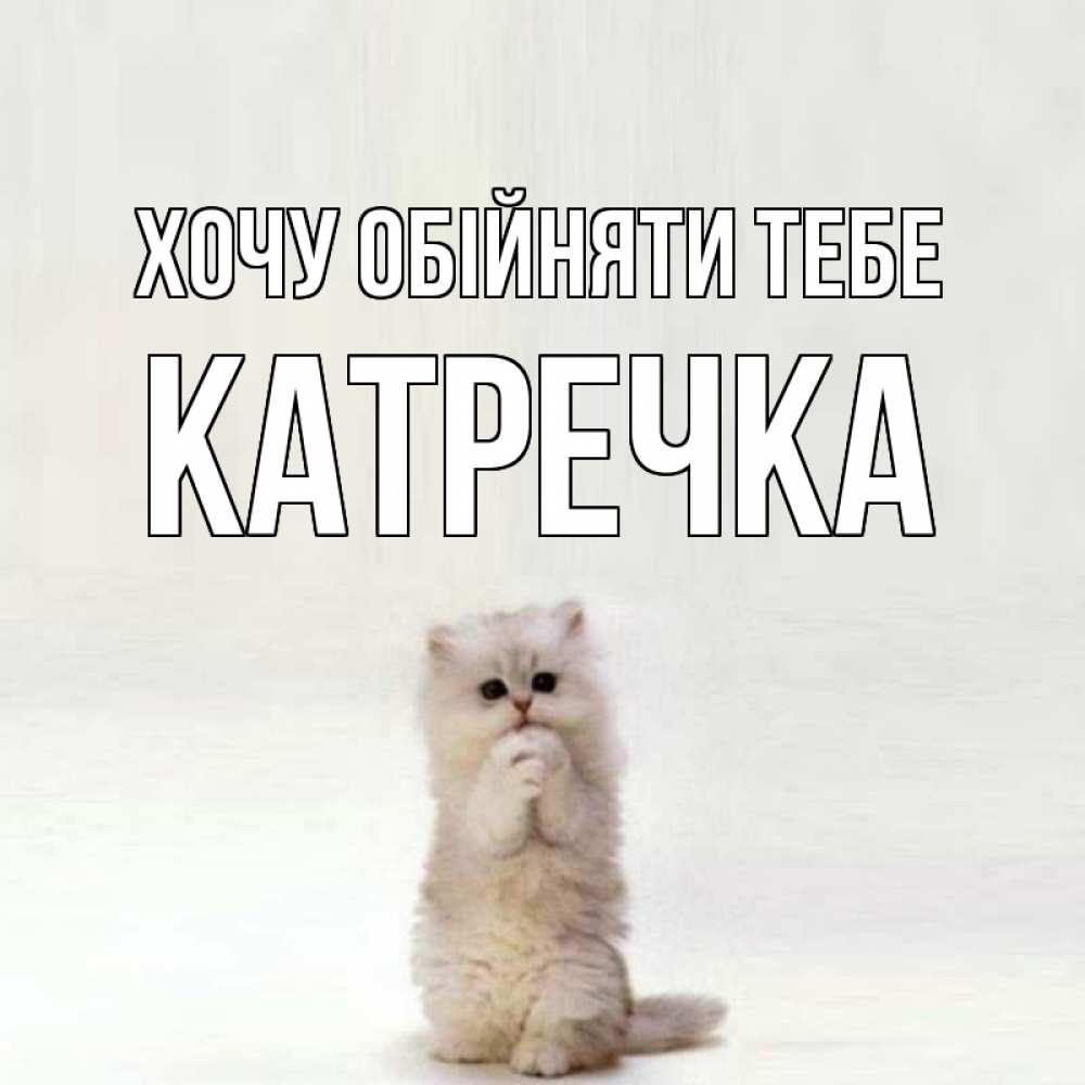 Открытка на каждый день з підписом, Катречка Хочу обійняти тебе открытки с креативными подписями Прикольна листівка з побажанням онлайн скачати безкоштовно 
