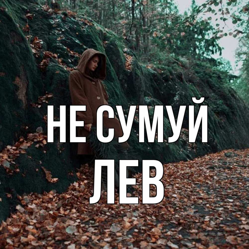 Открытка на каждый день з підписом, Лев Не сумуй осенний лес Прикольна листівка з побажанням онлайн скачати безкоштовно 