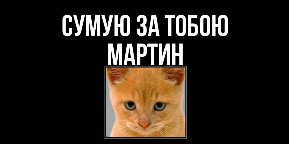 Открытка на каждый день з підписом, Мартин Сумую за тобою открытки рыжий котенок скучает по тебе Прикольна листівка з побажанням онлайн скачати безкоштовно 