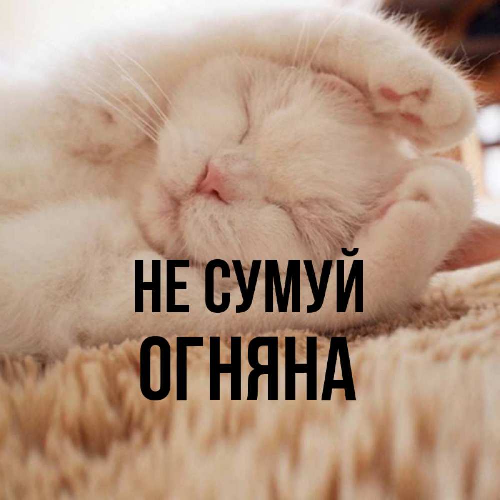 Открытка на каждый день з підписом, Огняна Не сумуй Котенок спит Прикольна листівка з побажанням онлайн скачати безкоштовно 