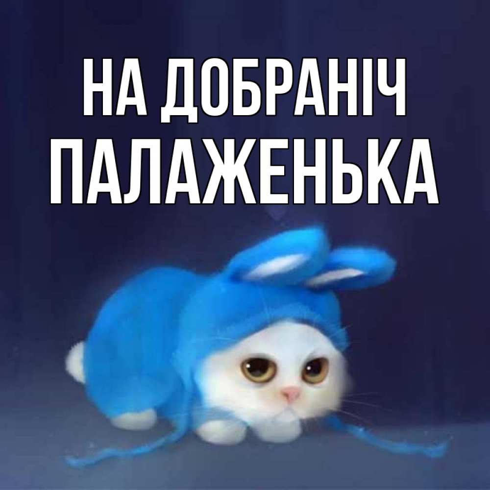 Открытка на каждый день з підписом, Палаженька На добраніч кот в голубом костюме кролика с ушками Прикольна листівка з побажанням онлайн скачати безкоштовно 