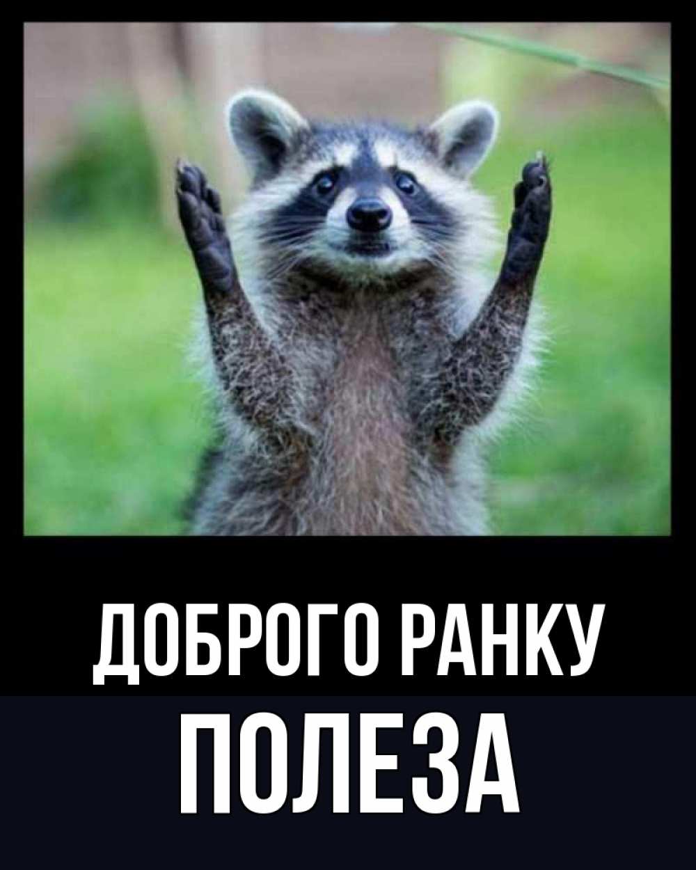 Открытка на каждый день з підписом, Полеза Доброго ранку хорошее настроение утречком Прикольна листівка з побажанням онлайн скачати безкоштовно 