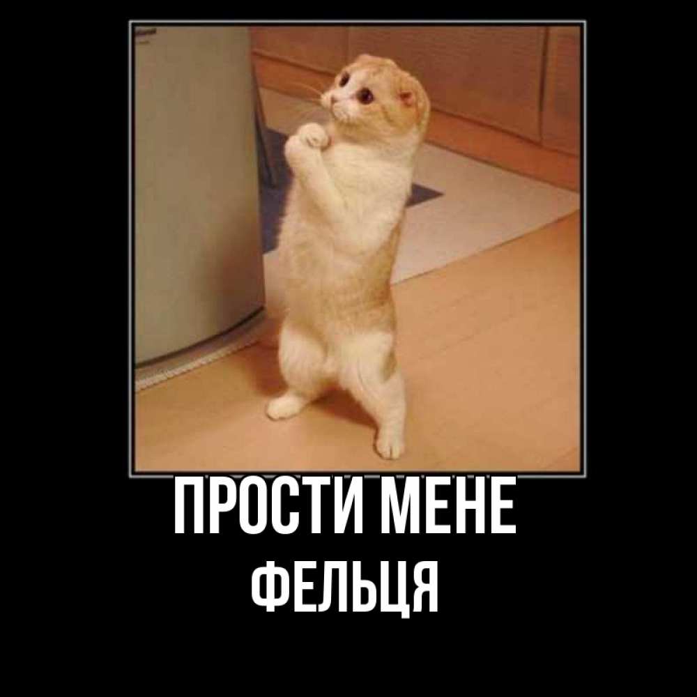 Открытка на каждый день з підписом, Фельця Прости мене открытка с милым несчастным котиком просящим прощения Прикольна листівка з побажанням онлайн скачати безкоштовно 